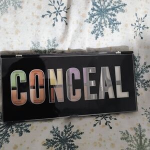 Profusion Cosmetics Conceal Palette